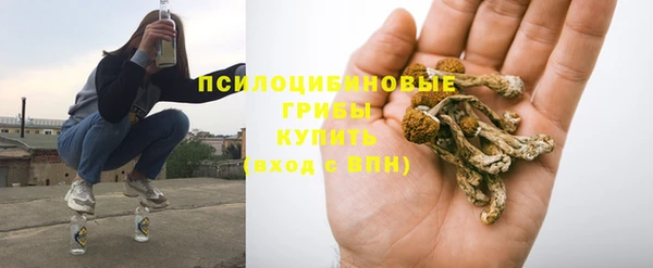 стаф Верхнеуральск