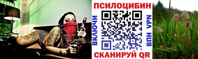Псилоцибиновые грибы ЛСД  МЕГА зеркало  Рубцовск 